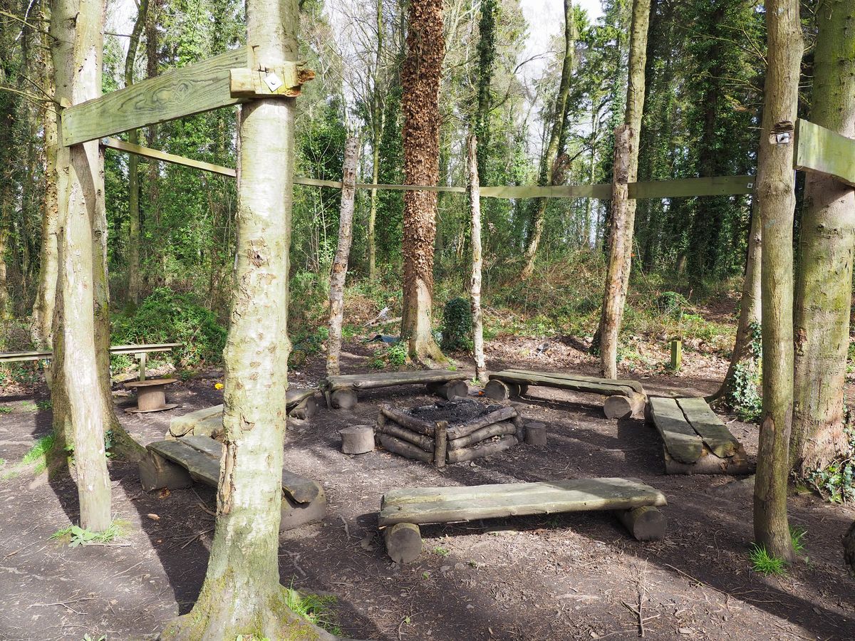 Science discovery centre opens outdoor environmental hub