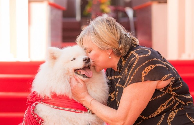 Showbiz dog who escaped meat trade lends a paw to London park campaign