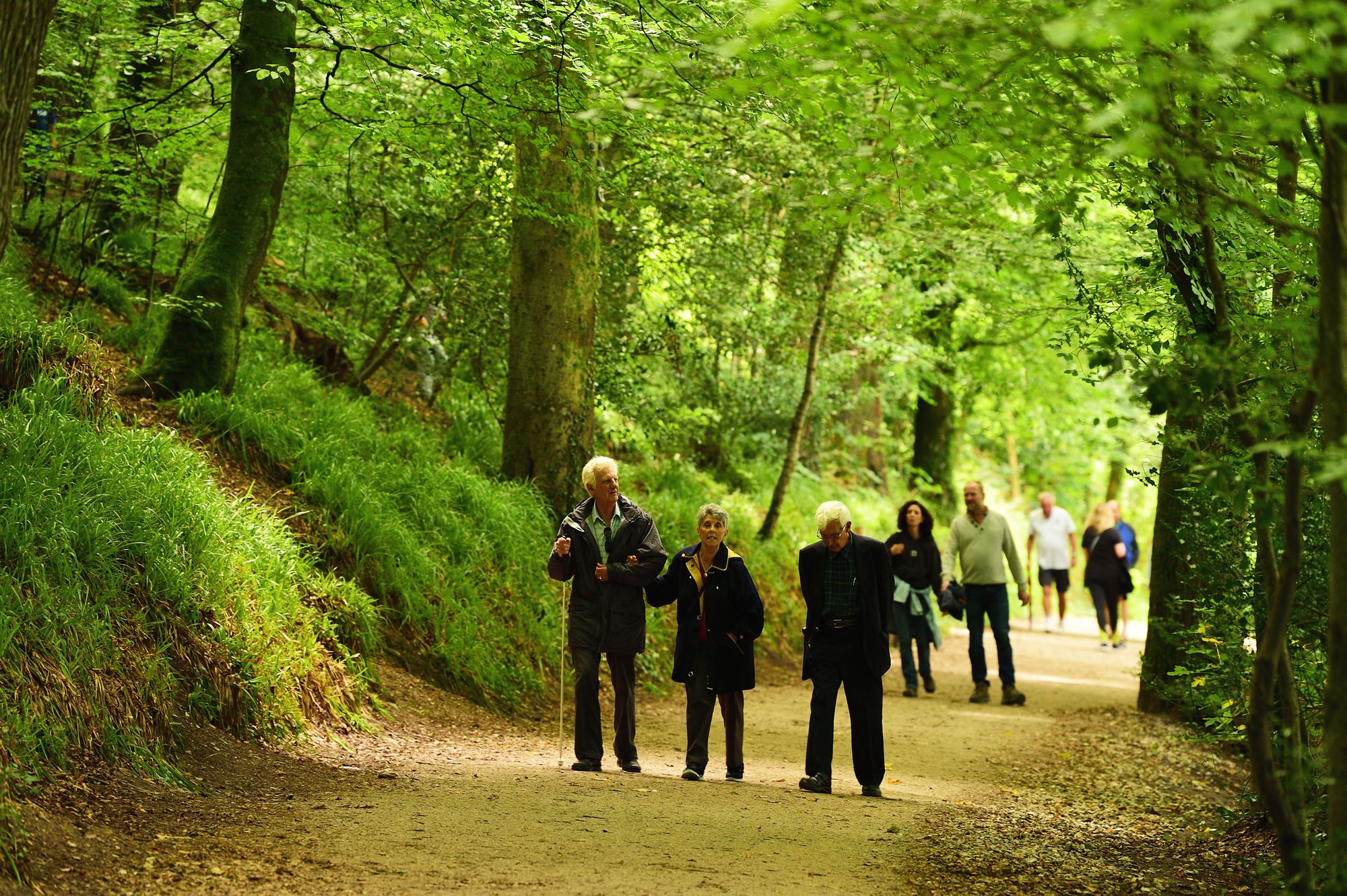 The National Trust places to visit in Devon this summer