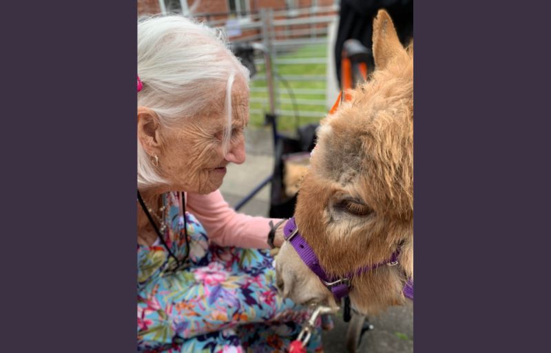 Mini donkeys bring smiles to Derbyshire pensioners