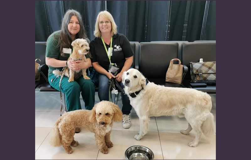 Manchester business will monitor animal welfare standards at this year's Dog Fest events