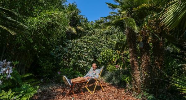 Dad's 35-year effort turning garden into tropical jungle with 25-foot palm trees
