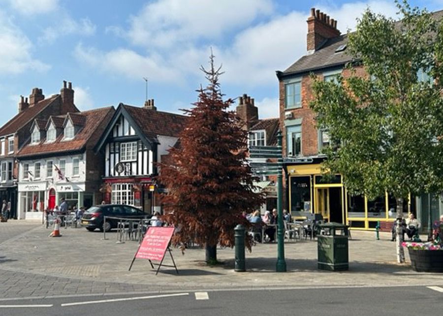 Town's Christmas tree still in place after six months due to nesting bird