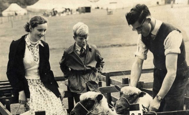 Macclesfield Nostalgia: Prize sheep steal the show at agricultural fair
