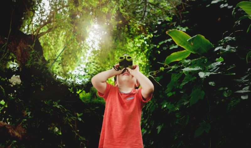 Learning goes outdoors as new forest school planned for Kent primary