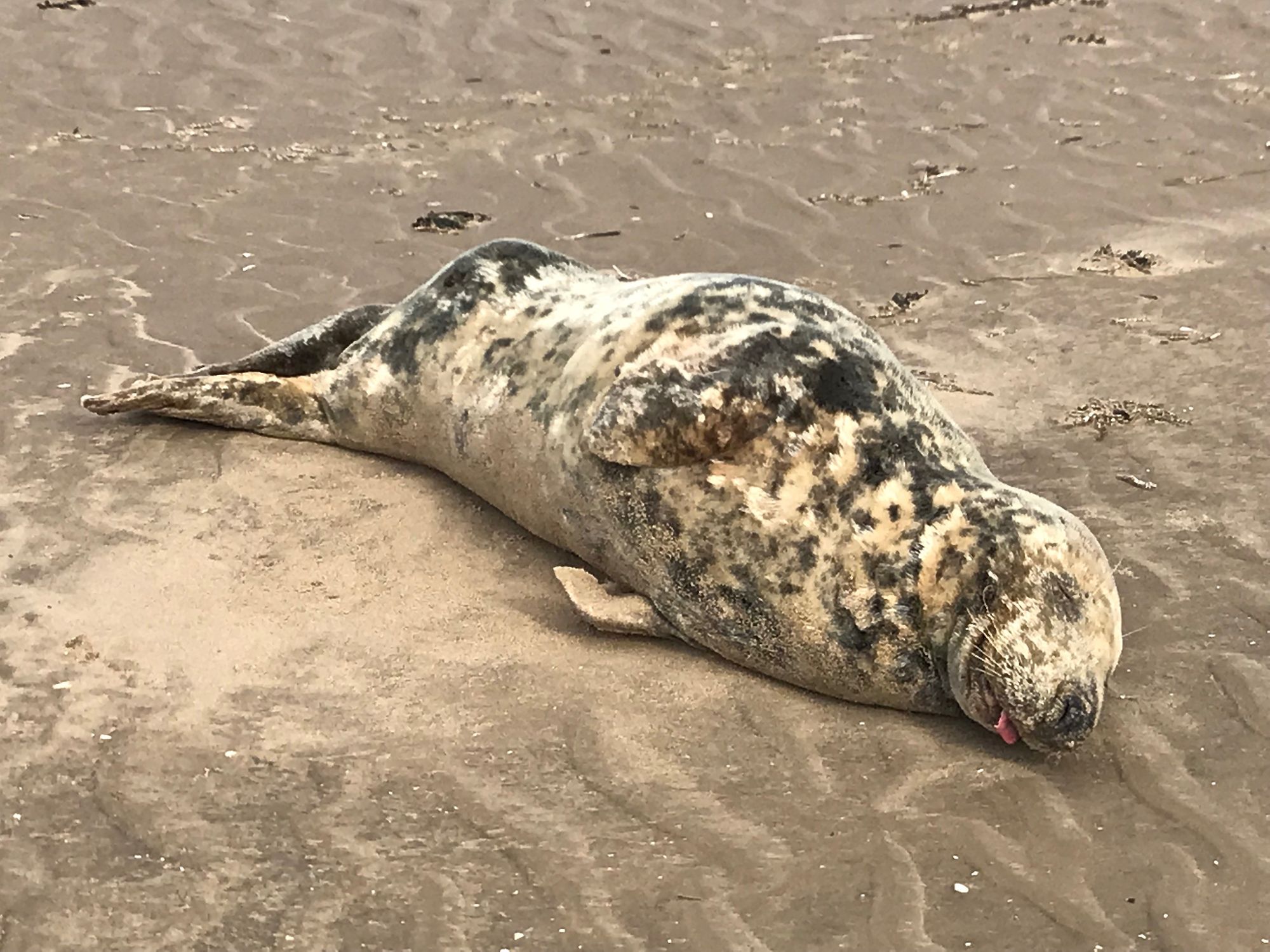 Sefton Coast: Respect our seas