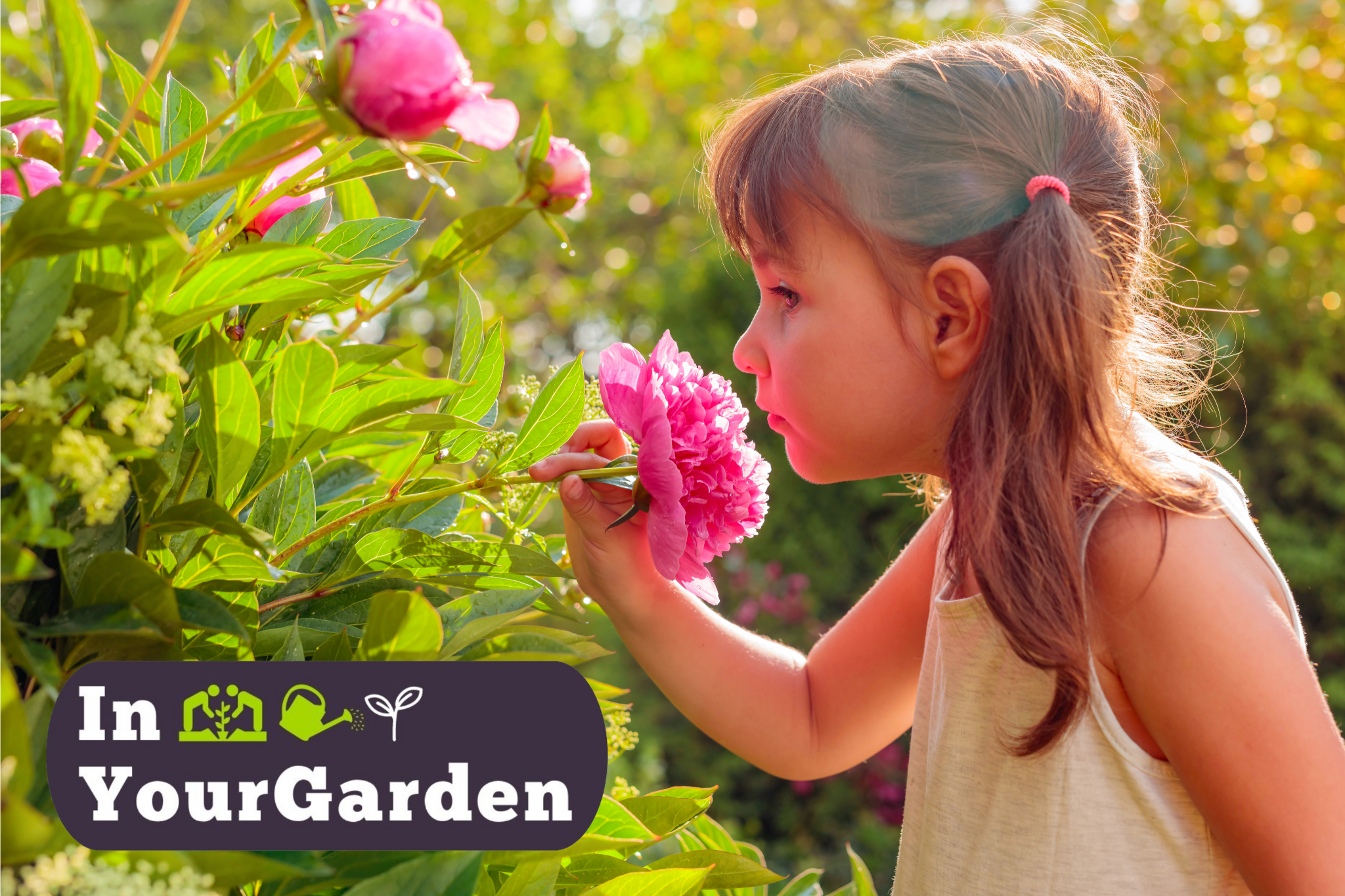 InYourGarden: Scented plants to enhance your balmy summer evenings