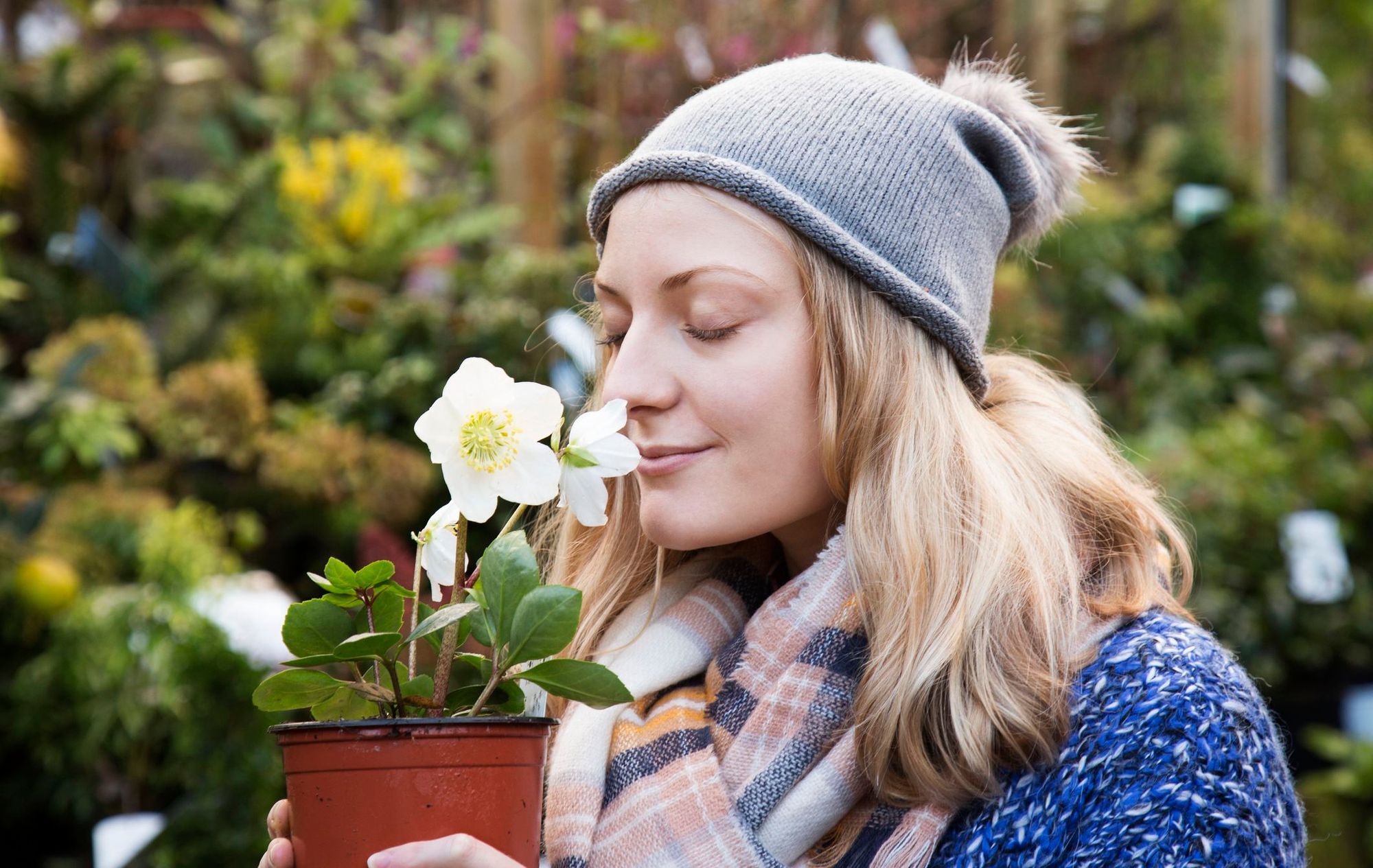 Seven expert tips to help you make the most of your small garden