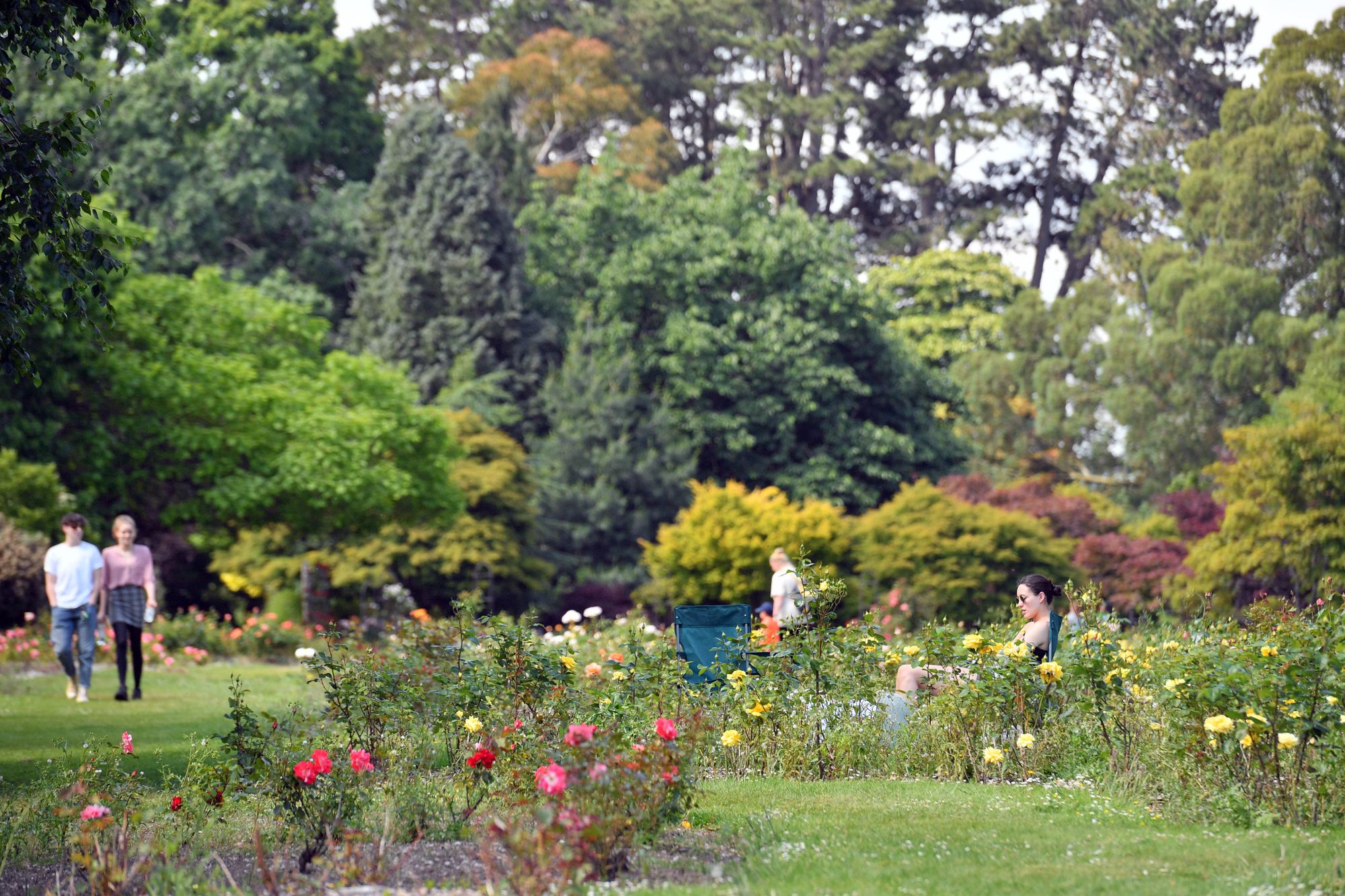 The search is on for the next Cardiff parks trainees