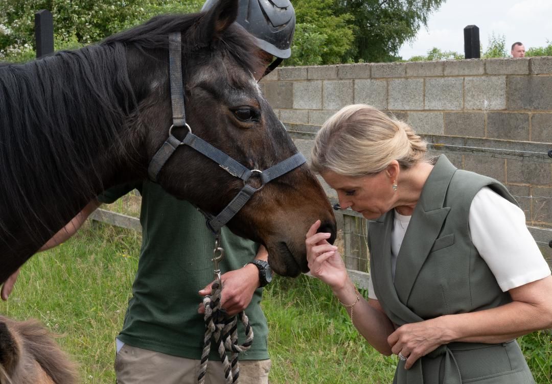 Duchess of Edinburgh helps horse sanctuary celebrate anniversary
