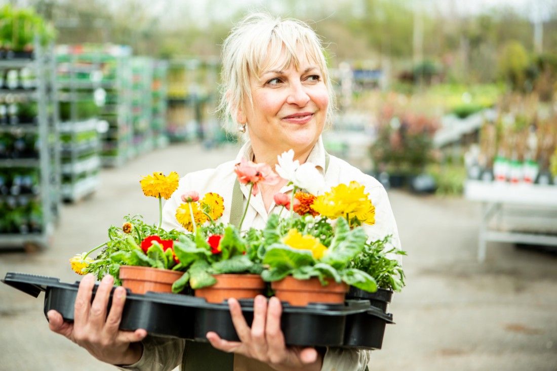 Garden centres within easy reach of Newport - for plants, advice and inspiration