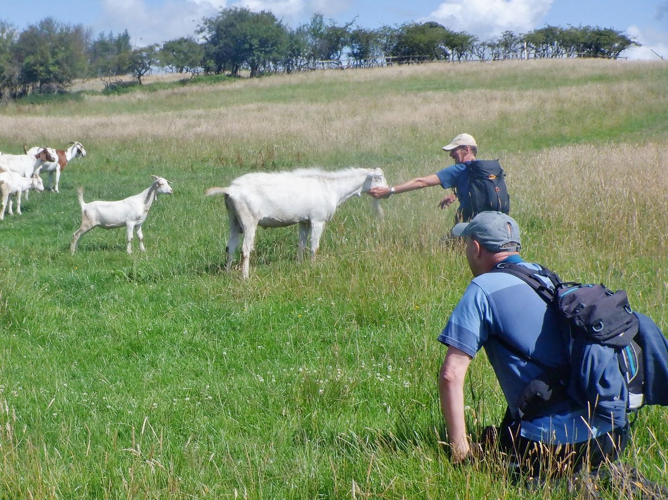 Rossendale Ramblers enjoy a variety of walks across Lancashire