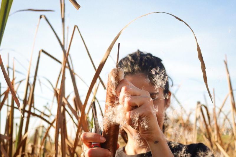 From bog to catwalk - how fluffy seed heads could answer an eco-conundrum