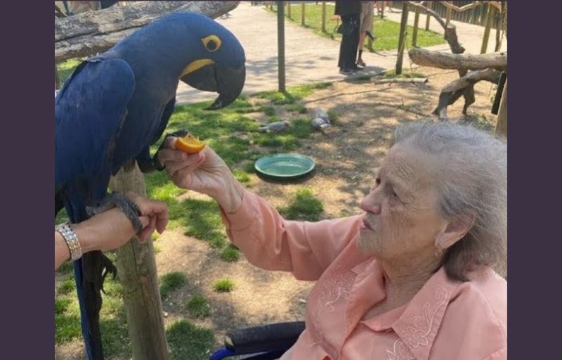 Tropical birthday treat for 99-year-old bird-loving pensioner