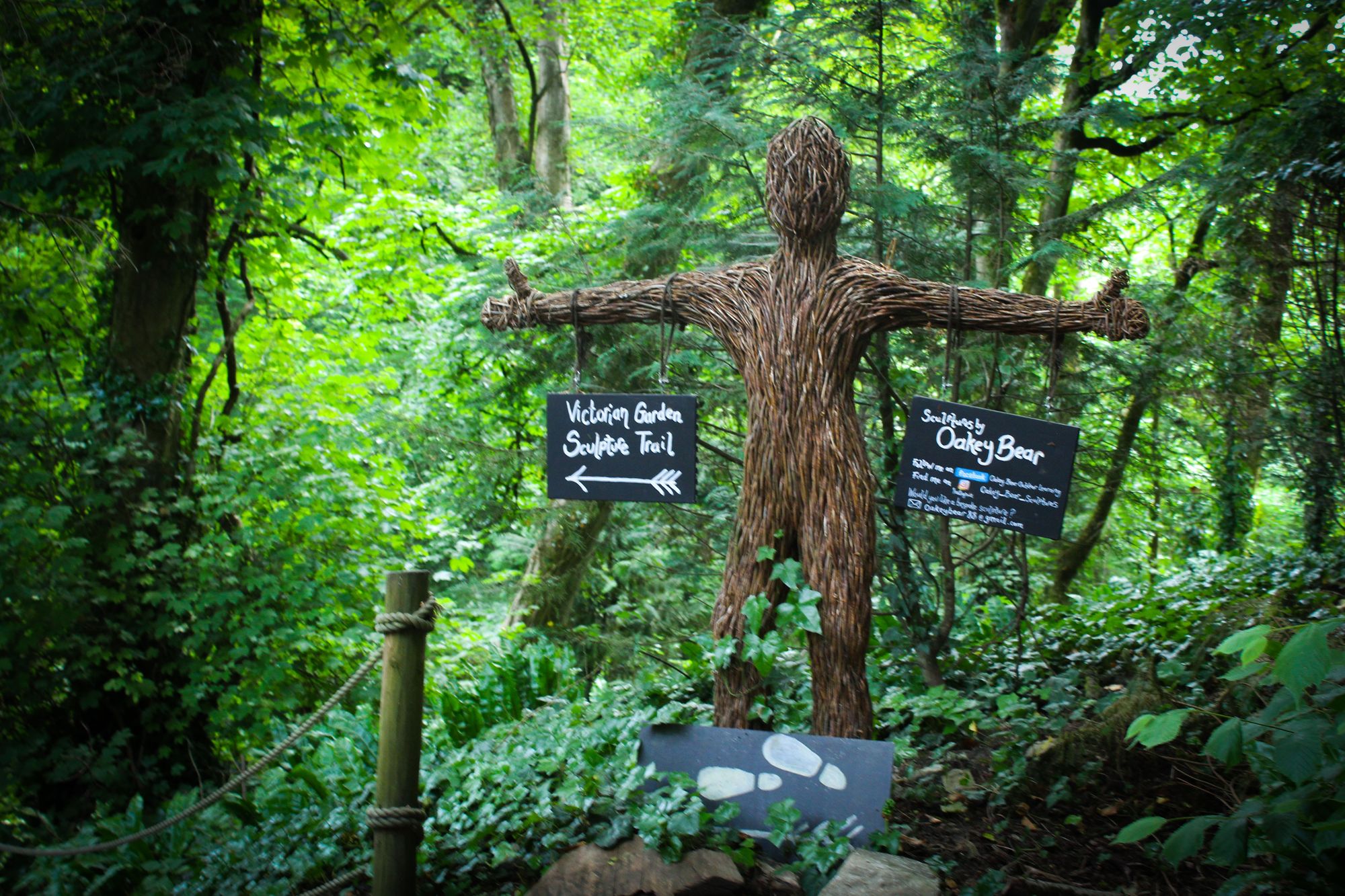 Restoration brings wildlife and visitors back to Fonmon's lost Victorian Garden
