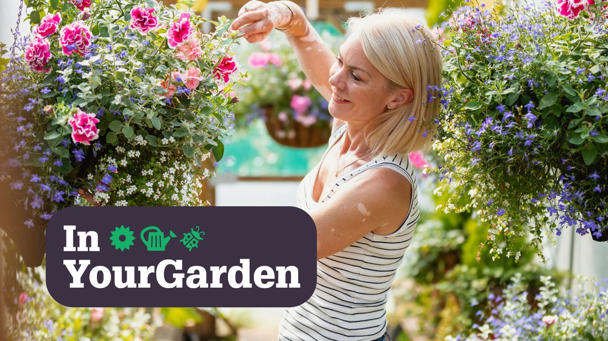 Keep your hanging baskets looking 'spectacular' with these steps National