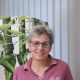 Anet Liedtke