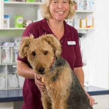 Bild vergrößern: Heike Gabriele Gepp, Tierarzt Schwabach