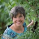Praxis für Trauma-, Körper und Schossraumtherapie Cornelia Fey Heilprakt. für Psychotherapie 