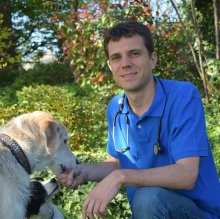 Bild vergrößern: Nicolai Sternberg, Tierarzt Dossenheim