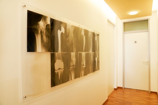 Maximilian Lederer-5