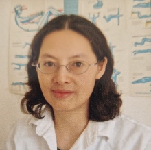 Bild vergrößern: Hong Zheng, Akupunkteur Heidelberg
