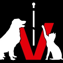 Bild vergrößern: Thomas Gensicke, Tierarzt Unna