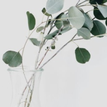 Praxis Thais Trautmann Heilprakt. für Psychotherapie