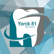 Bild vergrößern: Svetlana Serkedjieva, Zahnarzt Berlin