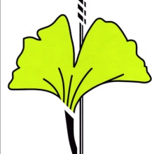 Praxis Manfred Kremer Heilpraktiker