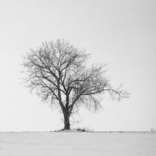 Praxis für Psychoanalyse Thomas Litz Psycholog. Psychotherapeut