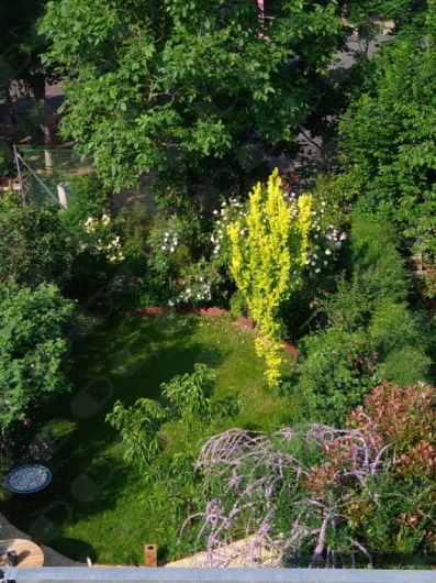 Kerstin Löwenstein-3