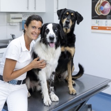 Bild vergrößern: Yasmin Diepenbruck, Tierarzt Bernkastel-Kues