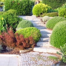 Praxis Marie Sawlanski Heilpraktikerin  