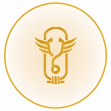 Adel Alawindy, Allgemeinmediziner Dessau-Roßlau