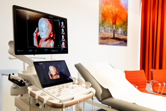 Johannes Steinhard-4