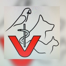 Bild vergrößern: Stefan Hempel, Tierarzt Erfurt