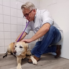 Bild vergrößern: Klaus Eckert, Tierarzt Lohmar