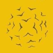 Bild vergrößern: Friederike Kuppe-Heder, Psychologischer Psychotherapeut Halle