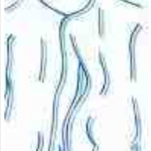 Praxis Thomas Martin Schneider Heilpraktiker