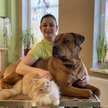 Bild vergrößern: Nicole Herde-Jäckel, Tierarzt Herzfelde