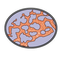 Bild vergrößern: Steffen Jahn, Pathologe Radeberg