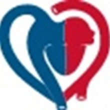 CardioVasculäres Centrum Frankfurt