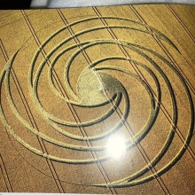 Bild vergrößern: Petra Keim, Heilpraktiker Sipplingen