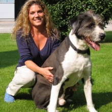 Bild vergrößern: Tina Hölscher, Tierarzt München