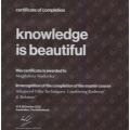 Bild vergrößern: certificate 3