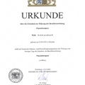 Bild vergrößern: certificate 1