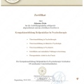 Bild vergrößern: certificate 2