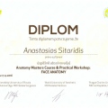 Bild vergrößern: certificate 13