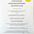 Bild vergrößern: certificate 16